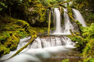 Lower-Panther-Creek-Falls-Gifford-Pinchot-National-Forest-Washington-300x200 Lower Panther Creek Falls