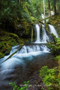 Lower-Panther-Creek-Falls-Gifford-Pinchot-National-Forest-Washington-4-200x300 Lower Panther Creek Falls