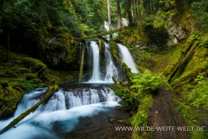 Lower-Panther-Creek-Falls-Gifford-Pinchot-National-Forest-Washington-6-300x200 Lower Panther Creek Falls