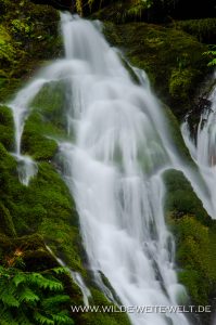 Madison-Falls-Elwha-Valley-Olympic-Nationalpark-Washington-11-199x300 Madison Falls