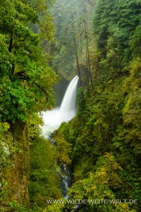 Metlako-Falls-Eagle-Creek-Columbia-River-Gorge-Oregon-200x300 Metlako Falls