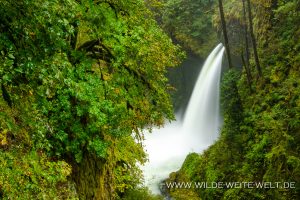 Metlako-Falls-Eagle-Creek-Columbia-River-Gorge-Oregon-3-300x200 Metlako Falls