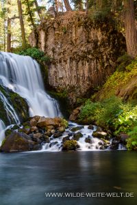 Middle-McCloud-Falls-McCloud-Shasta-Trinity-National-Forest-California-9-200x300 Middle McCloud Falls