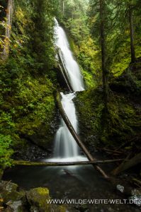 Murhut-Falls-Olmypic-National-Forest-Brinnon-Washington-199x300 Murhut Falls