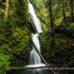 Murhut Falls - Olympic National Forest, Brinnon, Washington