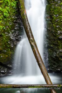 Murhut-Falls-Olmypic-National-Forest-Brinnon-Washington-4-199x300 Murhut Falls