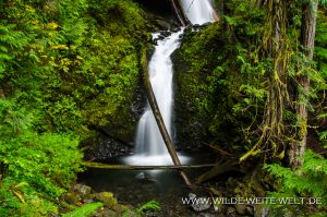Murhut-Falls-Olmypic-National-Forest-Brinnon-Washington-6-300x199 Murhut Falls