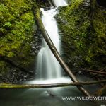 Murhut-Falls-Olmypic-National-Forest-Brinnon-Washington-2 Murhut Falls [Olympic National Park]