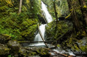 Murhut-Falls-Olmypic-National-Forest-Brinnon-Washington-8-300x199 Murhut Falls