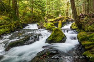Panther-Creek-Gifford-Pinchot-National-Forest-Washington-300x200 Panther Creek