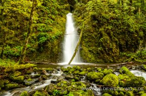Ruckel-Creek-Falls-Columbia-River-Gorge-Oregon-11-300x199 Ruckel Creek Falls