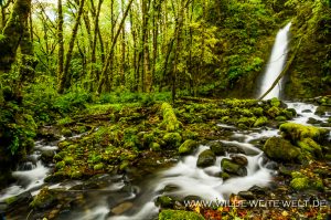 Ruckel-Creek-Falls-Columbia-River-Gorge-Oregon-3-300x199 Ruckel Creek Falls