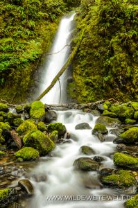 Ruckel-Creek-Falls-Columbia-River-Gorge-Oregon-5-199x300 Ruckel Creek Falls