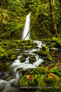 Ruckel-Creek-Falls-Columbia-River-Gorge-Oregon-6-199x300 Ruckel Creek Falls