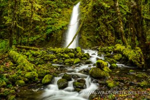 Ruckel-Creek-Falls-Columbia-River-Gorge-Oregon-7-300x199 Ruckel Creek Falls