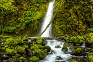 Ruckel-Creek-Falls-Columbia-River-Gorge-Oregon-9-300x199 Ruckel Creek Falls