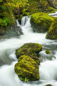 Tanner-Creek-Wahclella-Falls-Trail-Columbia-River-Gorge-Oregon-199x300 Tanner Creek