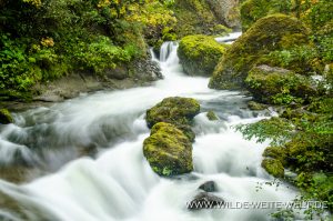 Tanner-Creek-Wahclella-Falls-Trail-Columbia-River-Gorge-Oregon-2-300x199 Tanner Creek