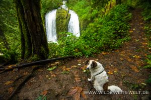 Upper-McCord-Creek-Falls-Columbia-River-Gorge-Oregon-8-300x199 Upper McCord Creek Falls