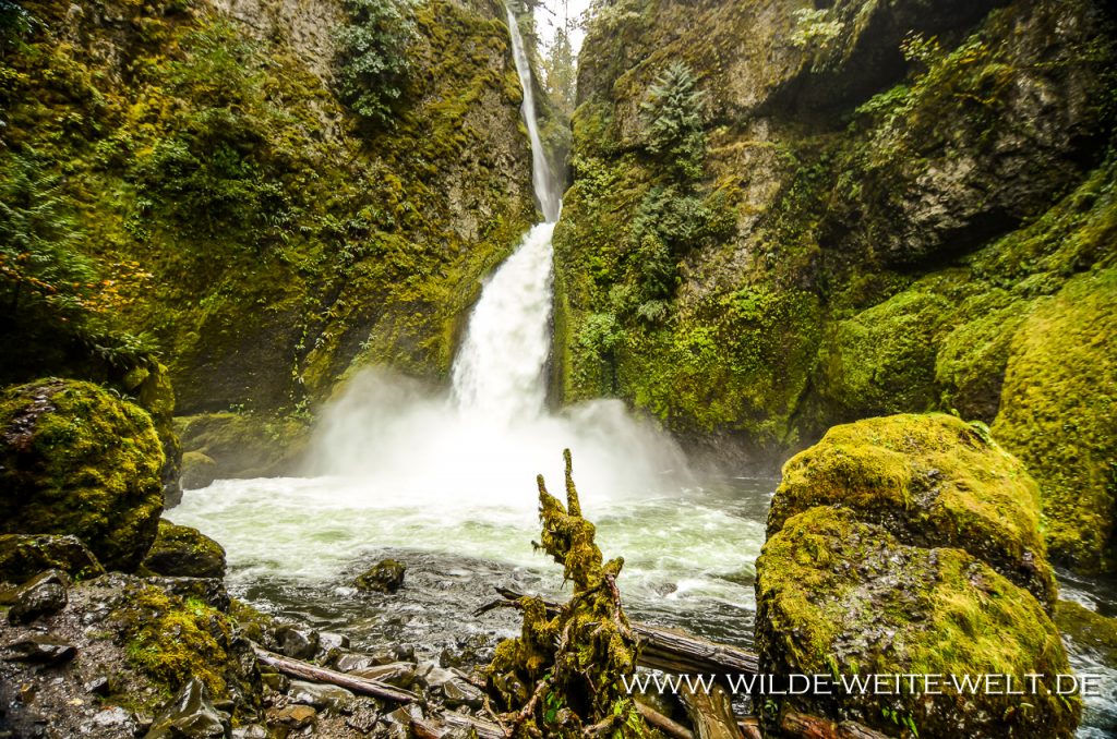 Wahclella-Falls-Columbia-River-Gorge-Oregon-5 Wahclella Falls [Columbia River Gorge, Tanner Creek]