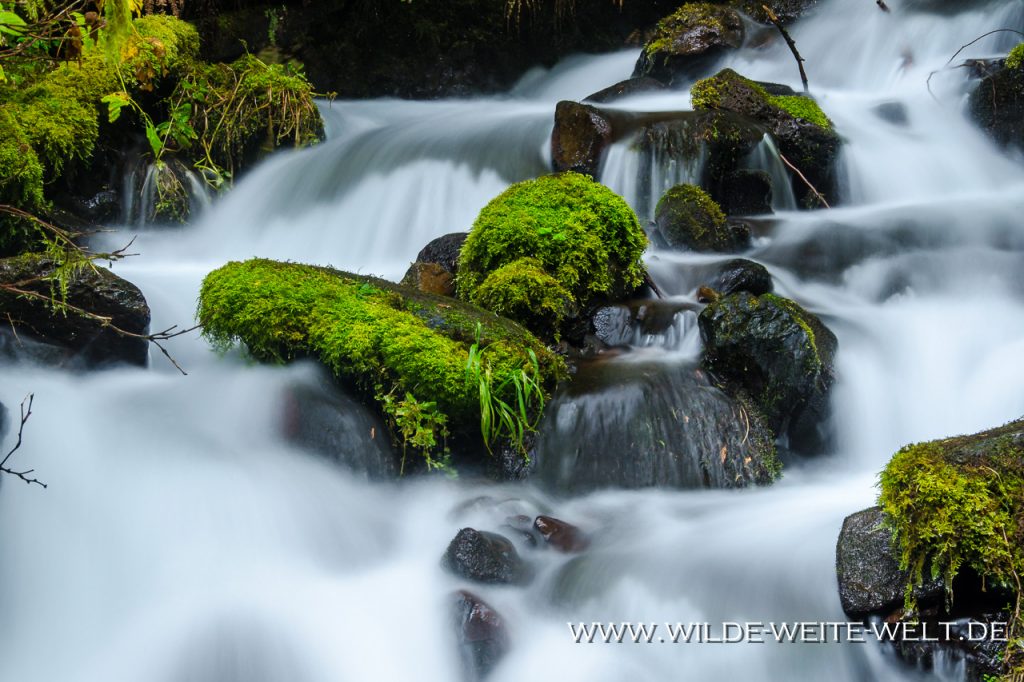 Wahkeena-Falls-Columbia-River-Gorge-Oregon-2 Wahkeena Falls [Columbia River Gorge, Wahkeena Creek]