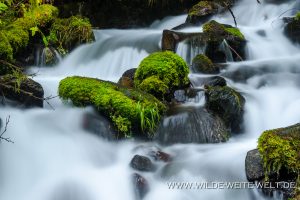Wahkeena-Creek-Columbia-River-Gorge-Oregon-7-300x200 Wahkeena Creek