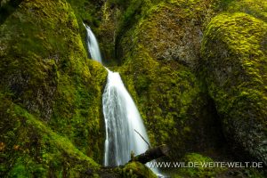 Wahkeena-Falls-Columbia-River-Gorge-Oregon-300x200 Wahkeena Falls