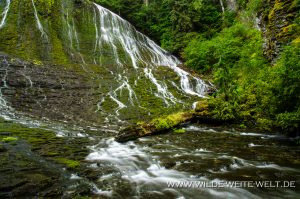 Walupt-Creek-Falls-Gifford-Pinchot-National-Forest-Packwood-Washington-10-300x199 Walupt Creek Falls