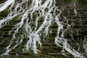 Walupt-Creek-Falls-Gifford-Pinchot-National-Forest-Packwood-Washington-11-300x199 Walupt Creek Falls