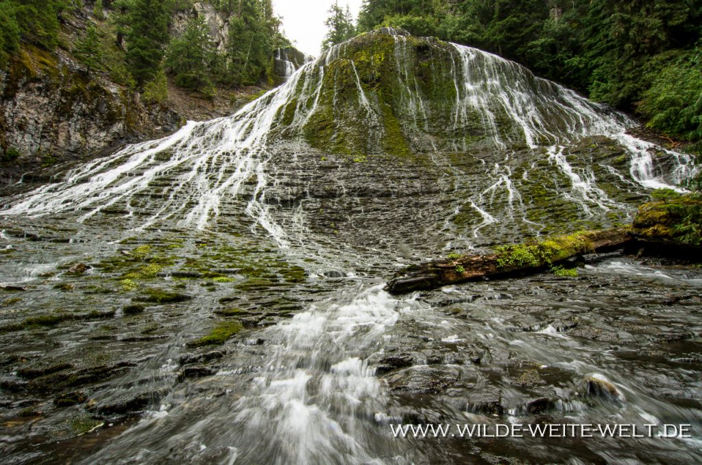 Walupt-Creek-Falls-Gifford-Pinchot-National-Forest-Packwood-Washington-3 Walupt Creek Falls [Gifford Pinchot National Forest]