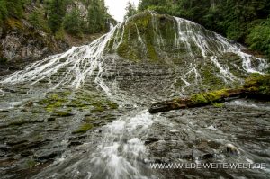 Walupt-Creek-Falls-Gifford-Pinchot-National-Forest-Packwood-Washington-12-300x199 Walupt Creek Falls