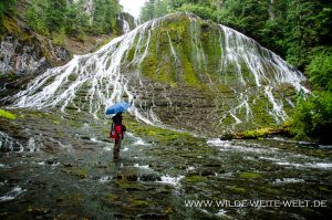 Walupt-Creek-Falls-Gifford-Pinchot-National-Forest-Packwood-Washington-16-300x199 Walupt Creek Falls
