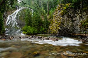 Walupt-Creek-Falls-Gifford-Pinchot-National-Forest-Packwood-Washington-2-300x199 Walupt Creek Falls