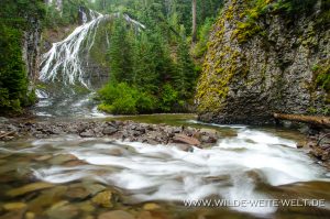 Walupt-Creek-Falls-Gifford-Pinchot-National-Forest-Packwood-Washington-3-300x199 Walupt Creek Falls
