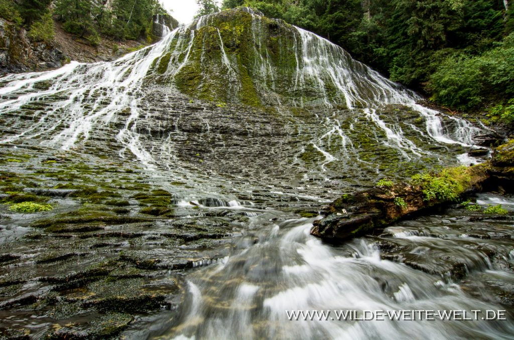 Walupt-Creek-Falls-Gifford-Pinchot-National-Forest-Packwood-Washington-3 Walupt Creek Falls [Gifford Pinchot National Forest]
