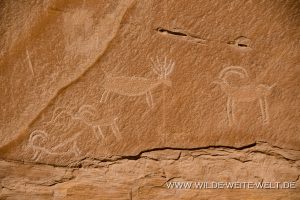 Buckhorn-Draw-Cattleguard-Panel-San-Raffael-Swell-Castle-Dale-Utah-2-300x200 Buckhorn Draw Cattleguard Panel