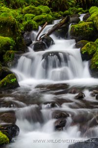 Dry-Creek-Columbia-River-Gorge-Oregon-5-200x300 Dry Creek