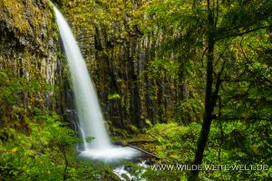 Dry-Creek-Falls-Columbia-River-Gorge-Oregon-11-300x200 Dry Creek Falls