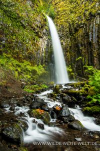 Dry-Creek-Falls-Columbia-River-Gorge-Oregon-2-200x300 Dry Creek Falls
