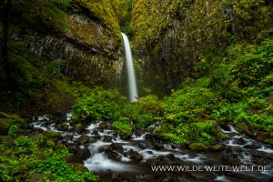 Dry-Creek-Falls-Columbia-River-Gorge-Oregon-3-300x200 Dry Creek Falls