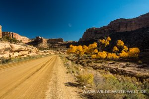 Fall-Color-in-Buckhorn-Draw-San-Raffael-Swell-Castle-Dale-Utah-11-300x200 Fall Color in Buckhorn Draw