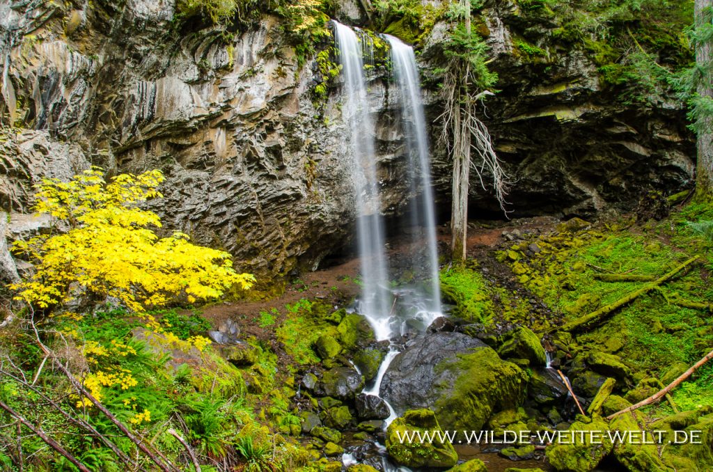 Grotto-Falls-Little-River-Area-Umpqua-National-Forest-Oregon-2 Grotto Falls [Little River]