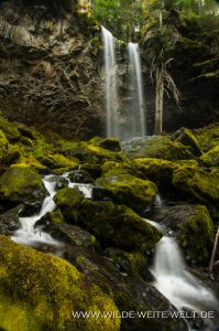 Grotto-Falls-Little-River-Area-Umpqua-National-Forest-Oregon-12-199x300 Grotto Falls