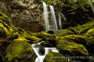 Grotto-Falls-Little-River-Area-Umpqua-National-Forest-Oregon-2-300x199 Grotto Falls
