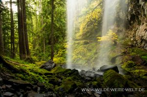 Grotto-Falls-Little-River-Area-Umpqua-National-Forest-Oregon-3-300x199 Grotto Falls