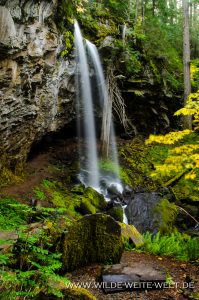 Grotto-Falls-Little-River-Area-Umpqua-National-Forest-Oregon-4-199x300 Grotto Falls