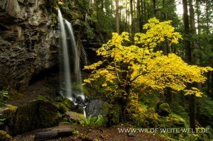 Grotto-Falls-Little-River-Area-Umpqua-National-Forest-Oregon-5-300x199 Grotto Falls