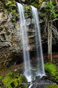 Grotto-Falls-Little-River-Area-Umpqua-National-Forest-Oregon-7-199x300 Grotto Falls