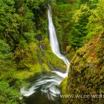 Loowit Falls - Eagle Creek, Columbia River Gorge, Oregon