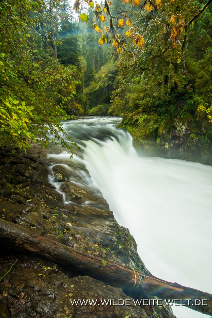 Lower-Punchbowl-Falls-Eagle-Creek-Columbia-River-Gorge-Oregon-2 Lower Punchbowl Falls [Columbia River Gorge, Eagle Creek]